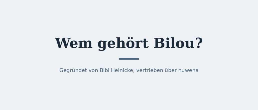 Wem gehört Bilou? Eigentümer und Konzernstruktur 1