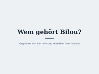 Wem gehört Bilou? Eigentümer und Konzernstruktur 4