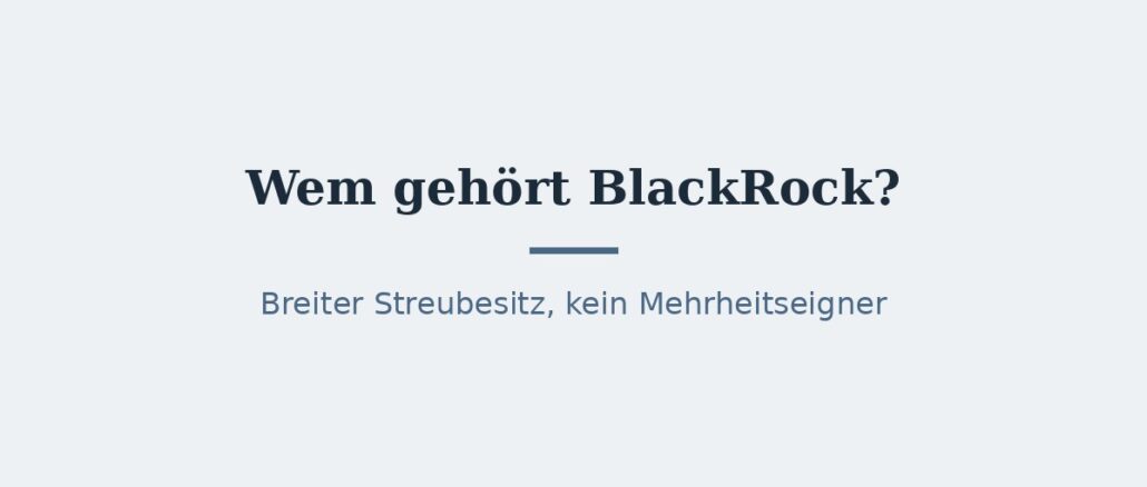 Wem gehört BlackRock? Eigentümer und Konzernstruktur 1