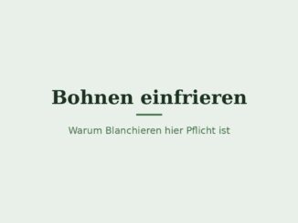 Bohnen einfrieren – Titelbild