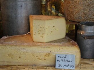 Gouda als neues Superfood: Alles Käse oder was?