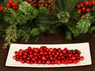 Cranberry Tabletten Dm Blasenentzündung