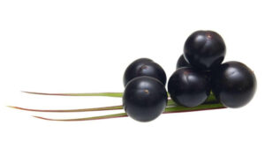 Acai Beere ein tolles Superfood