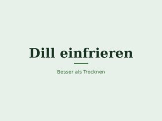 Dill einfrieren – Titelbild