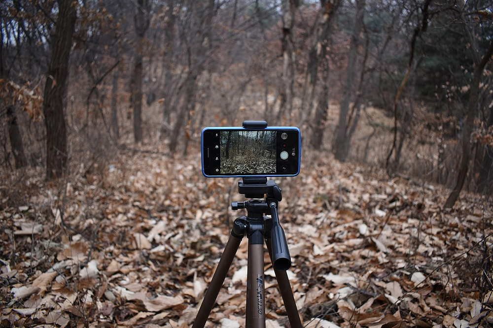 Ein Smartphone ist auf einem Stativ im Wald montiert und nimmt die umgebende Natur auf.