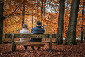 Zwei Personen sitzen auf einer Bank und betrachten den herbstlichen Wald mit orange gefärbten Blättern.