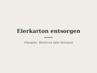 Eierkarton entsorgen: Altpapier, Biotonne oder Kompost? 4