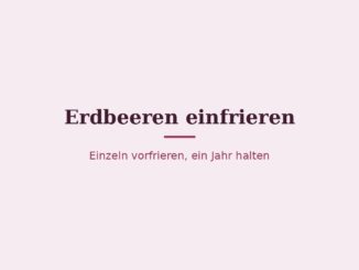 Erdbeeren einfrieren – Titelbild