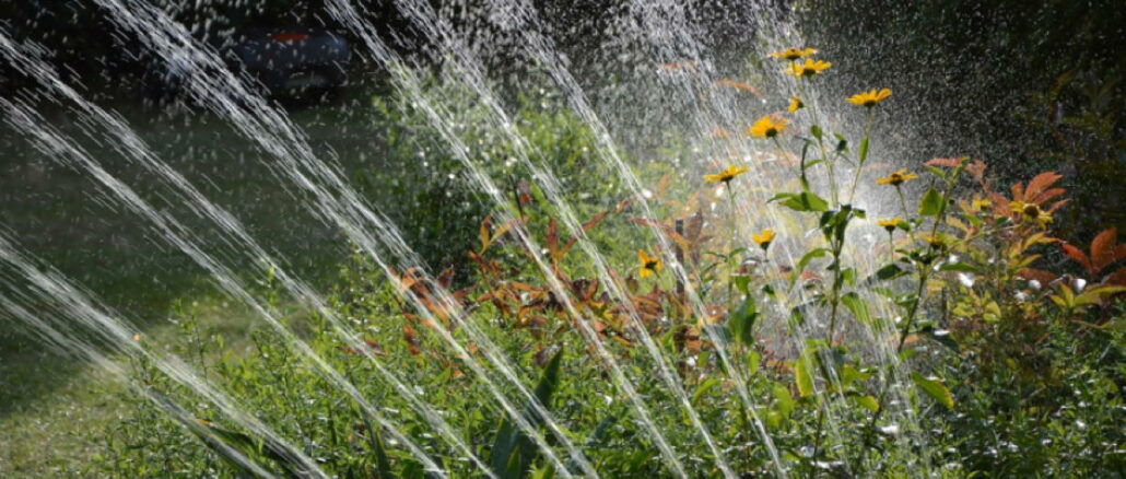 Abbildung 1: Wer seinen Garten aus einem nahe gelegenen Gewässer beregnet, spart Geld. Dafür ist allerdings die richtige Pumpe notwendig.