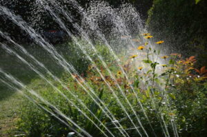 Abbildung 1: Wer seinen Garten aus einem nahe gelegenen Gewässer beregnet, spart Geld. Dafür ist allerdings die richtige Pumpe notwendig.