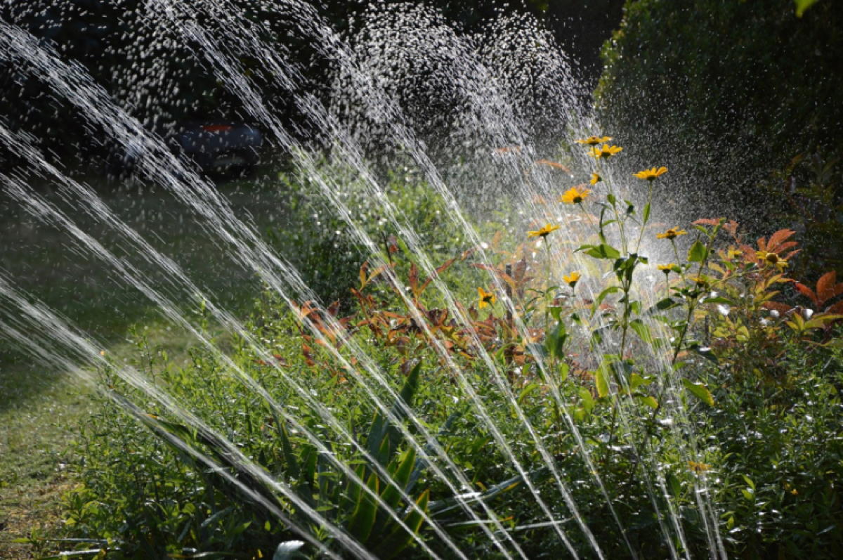 Abbildung 1: Wer seinen Garten aus einem nahe gelegenen Gewässer beregnet, spart Geld. Dafür ist allerdings die richtige Pumpe notwendig.