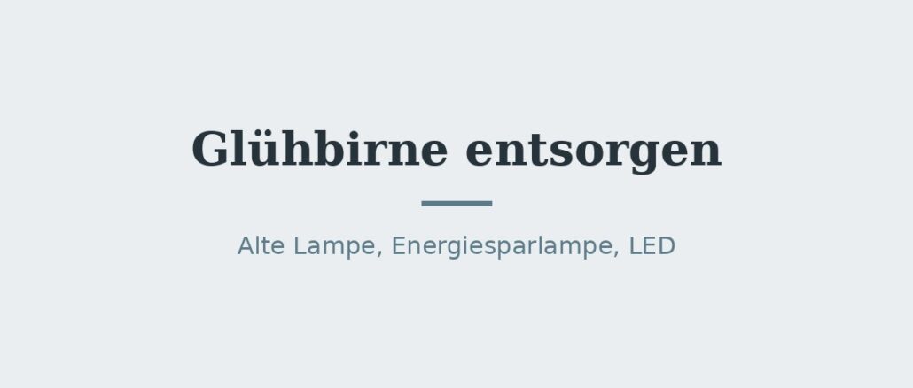 Glühbirne entsorgen: Restmüll, Wertstoffhof oder Handel? 1