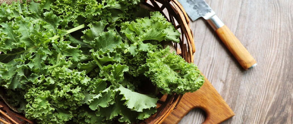 Der Grünkohl-Kult: Warum die Reichen oftmals die seltsamsten Hobbys haben 1