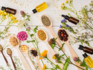 Die Welt der pflanzlichen Heilmittel: Mythos oder Wahrheit? 3