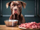 Warum immer mehr Hundebesitzer auf rohes Fleisch setzen 1