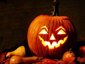 Zu schade für Halloween: Kürbis als Superfood zum Abnehmen