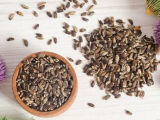 Superfoods = Ungesund? | Das steckt dahinter