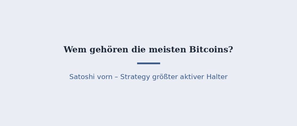 Wem gehören die meisten Bitcoins? Die größten Halter im Überblick 1