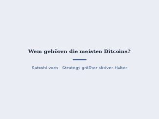 Wem gehören die meisten Bitcoins? Die größten Halter im Überblick 3