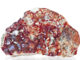 Das Bild zeigt ein Stück roter Granat-Mineral, eingebettet in eine Matrixgestein, isoliert auf weißem Hintergrund.