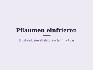 Pflaumen einfrieren – Titelbild