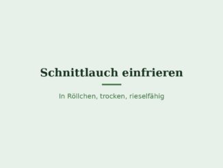 Schnittlauch einfrieren – Titelbild