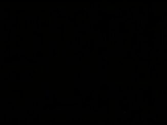 schwarzer-bildschirm-windows-10