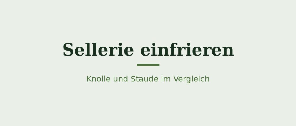 Sellerie einfrieren – Titelbild Sellerie einfrieren – Titelbild