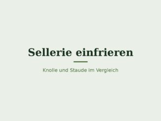 Sellerie einfrieren – Titelbild