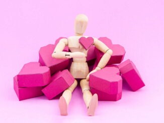 Objekt der Begierde: Warum Maschinen zu Beziehungspartnern werden 1