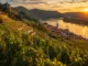 Weinbaugebiet Wachau: Der vollständige Reiseführer für Wein, Kultur und Genuss