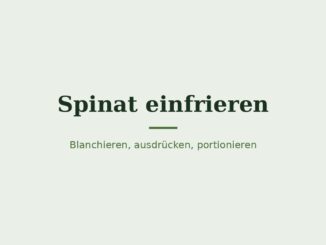 Spinat einfrieren – Titelbild