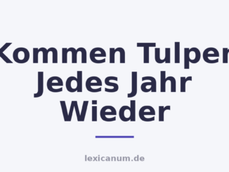 Kommen Tulpen Jedes Jahr Wieder