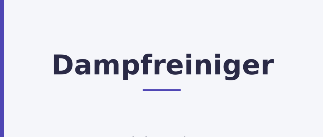 Dampfreiniger