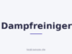 Dampfreiniger