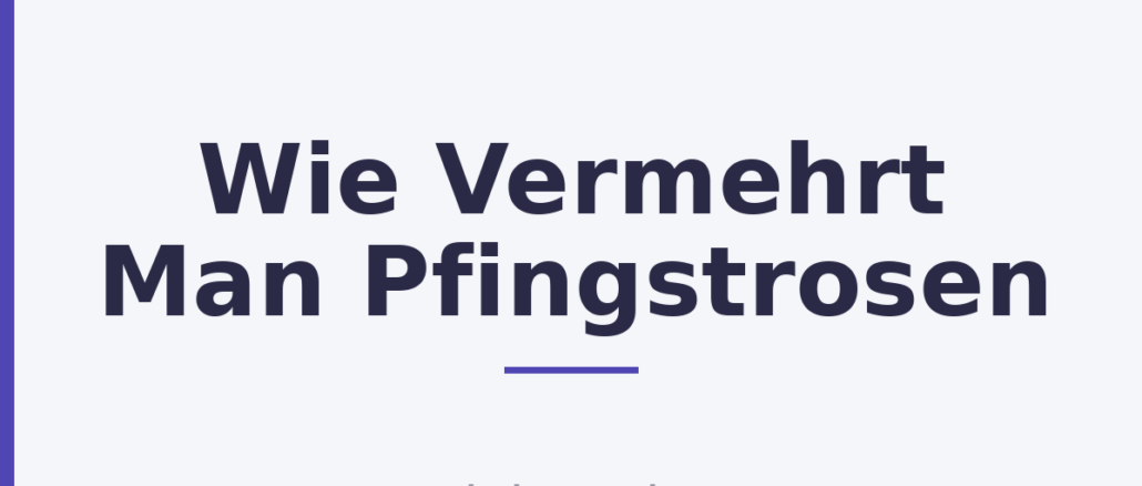 Wie Vermehrt Man Pfingstrosen