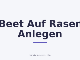 Beet Auf Rasen Anlegen