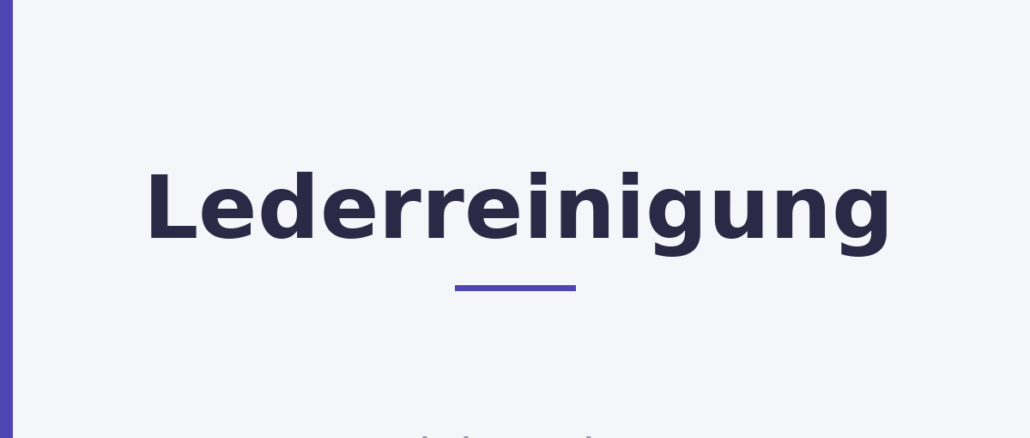 Lederreinigung