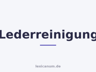 Lederreinigung