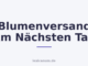 Blumenversand Am Nächsten Tag