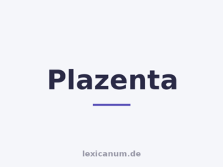 Plazenta