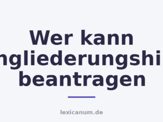Wer kann Eingliederungshilfe beantragen