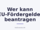 Wer kann EU-Fördergelder beantragen