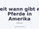 Seit wann gibt es Pferde in Amerika