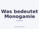 Was bedeutet Monogamie
