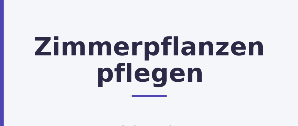 Zimmerpflanzen pflegen