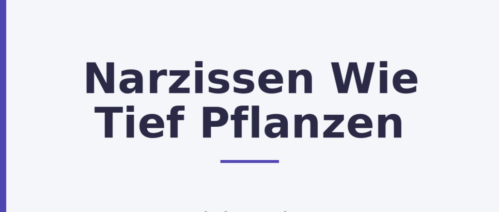Narzissen Wie Tief Pflanzen