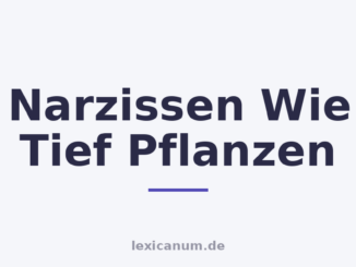 Narzissen Wie Tief Pflanzen