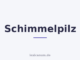 Schimmelpilz