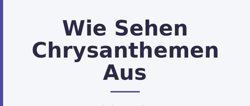 Wie Sehen Chrysanthemen Aus